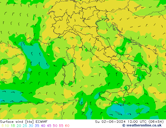 Rüzgar 10 m ECMWF Paz 02.06.2024 12 UTC