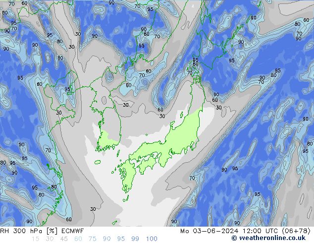 RH 300 hPa ECMWF pon. 03.06.2024 12 UTC