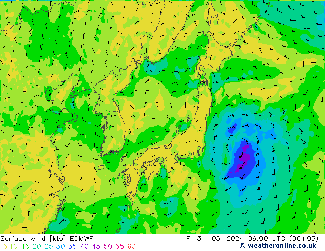 Surface wind ECMWF Fr 31.05.2024 09 UTC