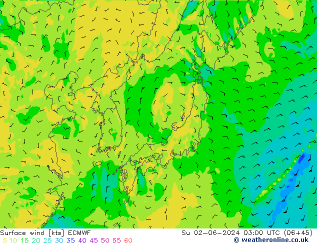 wiatr 10 m ECMWF nie. 02.06.2024 03 UTC