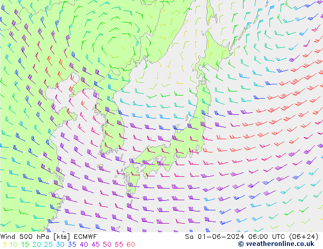 Viento 500 hPa ECMWF sáb 01.06.2024 06 UTC