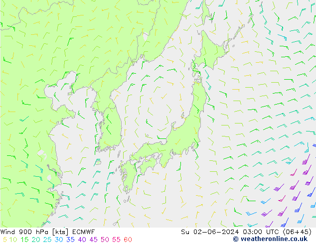 wiatr 900 hPa ECMWF nie. 02.06.2024 03 UTC