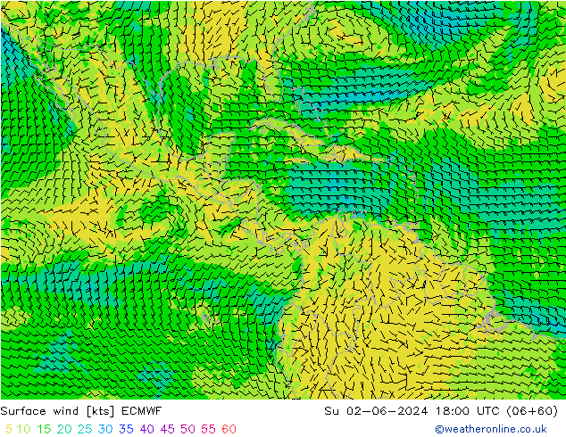 Wind 10 m ECMWF zo 02.06.2024 18 UTC