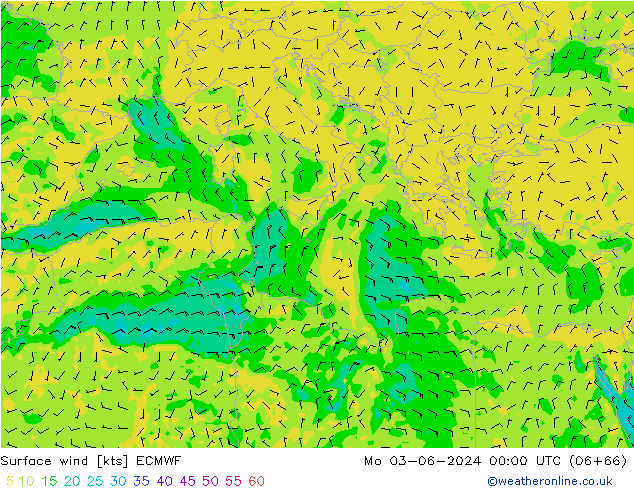 Bodenwind ECMWF Mo 03.06.2024 00 UTC