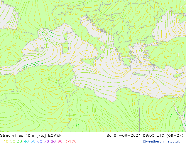 ветер 10m ECMWF сб 01.06.2024 09 UTC