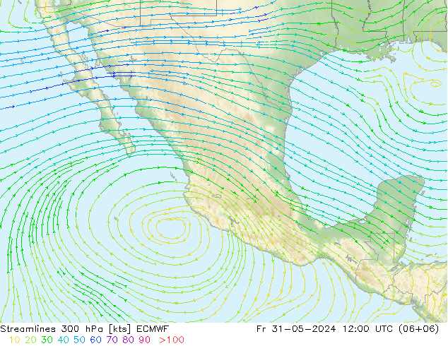 Linea di flusso 300 hPa ECMWF ven 31.05.2024 12 UTC