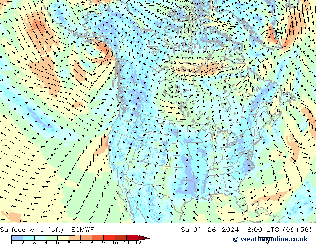 Rüzgar 10 m (bft) ECMWF Cts 01.06.2024 18 UTC