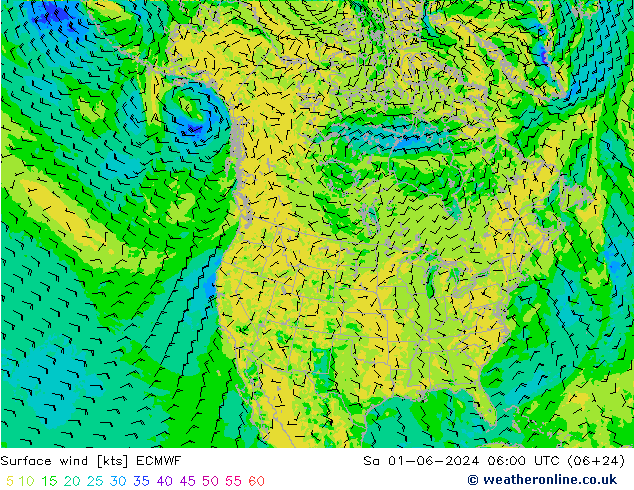 Bodenwind ECMWF Sa 01.06.2024 06 UTC