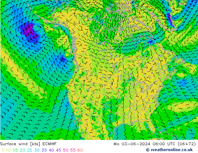 Wind 10 m ECMWF ma 03.06.2024 06 UTC