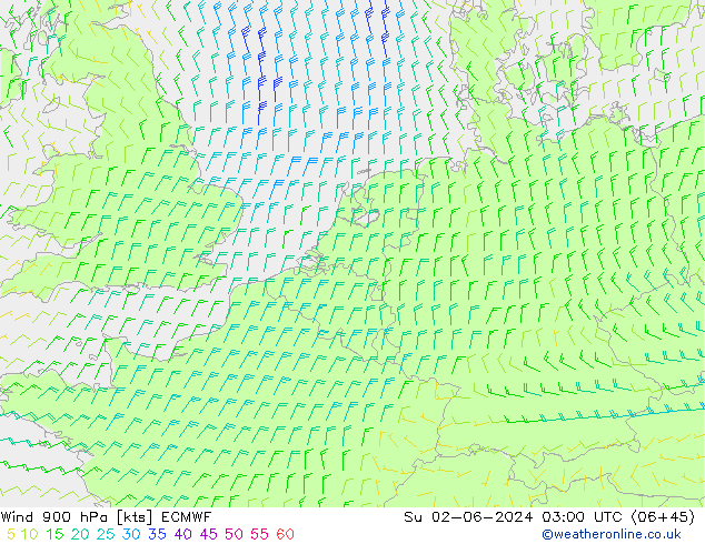 Rüzgar 900 hPa ECMWF Paz 02.06.2024 03 UTC