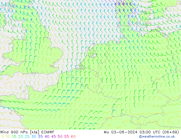 Rüzgar 900 hPa ECMWF Pzt 03.06.2024 03 UTC