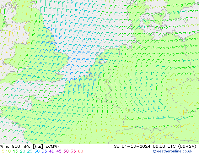  950 hPa ECMWF  01.06.2024 06 UTC