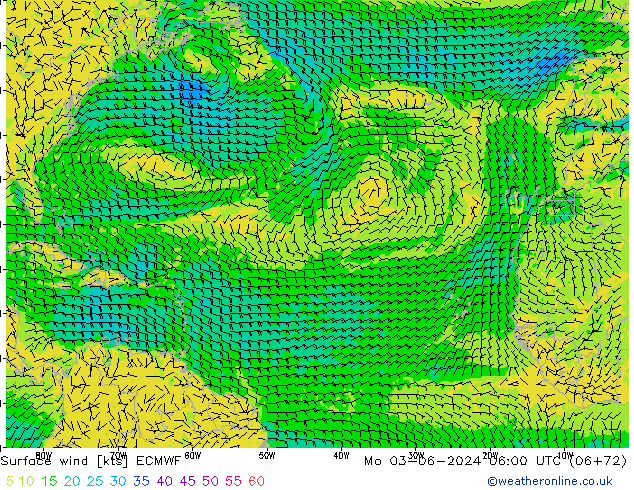 Wind 10 m ECMWF ma 03.06.2024 06 UTC