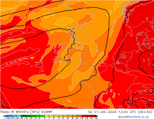 Theta-W 850гПа ECMWF сб 01.06.2024 12 UTC