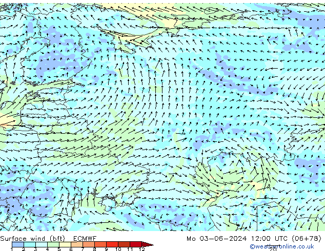 Surface wind (bft) ECMWF Mo 03.06.2024 12 UTC