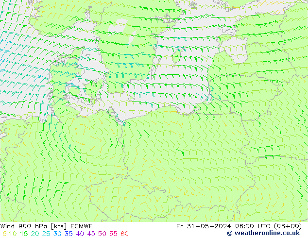 Wind 900 hPa ECMWF Fr 31.05.2024 06 UTC