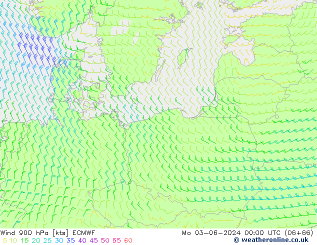 Rüzgar 900 hPa ECMWF Pzt 03.06.2024 00 UTC