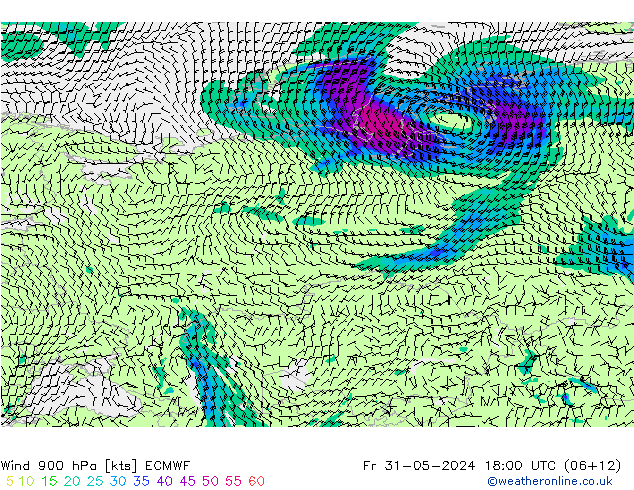 Vento 900 hPa ECMWF ven 31.05.2024 18 UTC