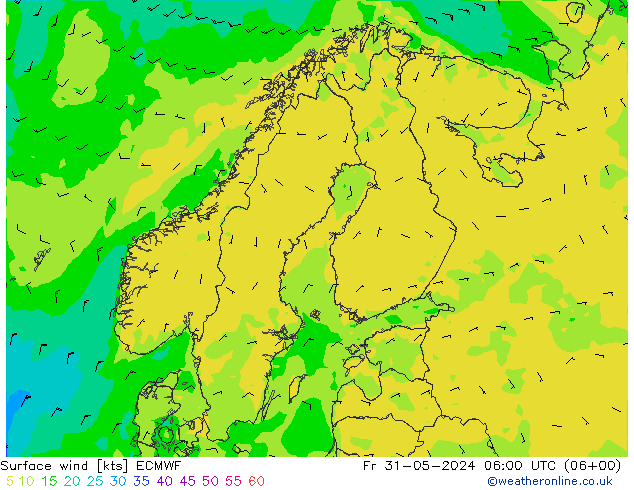 wiatr 10 m ECMWF pt. 31.05.2024 06 UTC