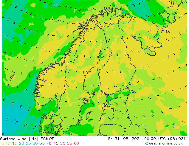 Wind 10 m ECMWF vr 31.05.2024 09 UTC