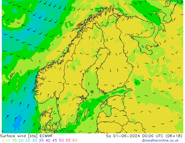 Vento 10 m ECMWF Sáb 01.06.2024 00 UTC