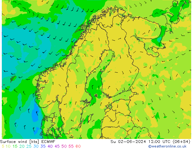 Vento 10 m ECMWF Dom 02.06.2024 12 UTC