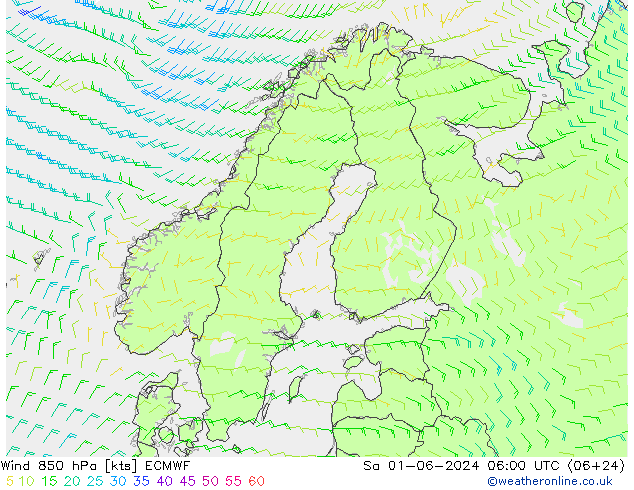 Viento 850 hPa ECMWF sáb 01.06.2024 06 UTC