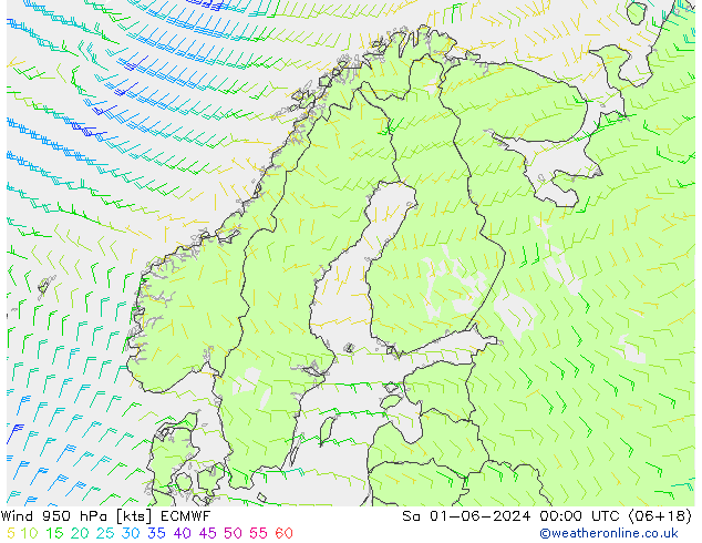 Wind 950 hPa ECMWF za 01.06.2024 00 UTC