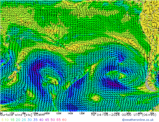 Vent 10 m ECMWF mar 04.06.2024 00 UTC