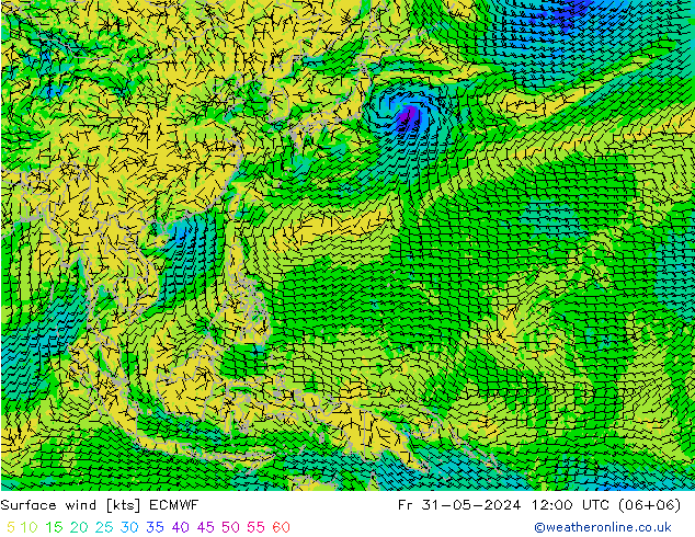 Surface wind ECMWF Fr 31.05.2024 12 UTC