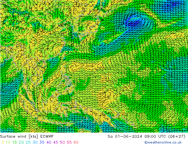  10 m ECMWF  01.06.2024 09 UTC