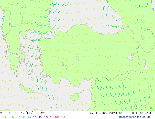 Vent 950 hPa ECMWF sam 01.06.2024 06 UTC