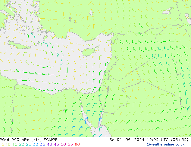 ветер 900 гПа ECMWF сб 01.06.2024 12 UTC