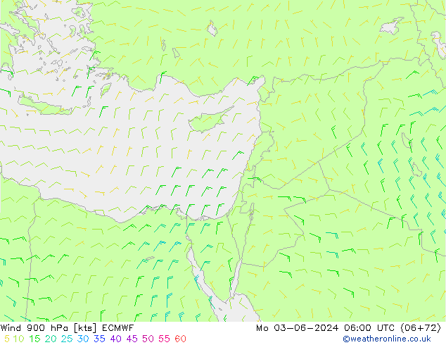Wind 900 hPa ECMWF Mo 03.06.2024 06 UTC