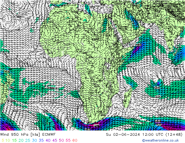 Wind 950 hPa ECMWF Su 02.06.2024 12 UTC