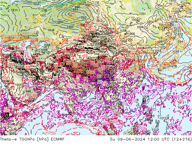 Theta-e 700гПа ECMWF Вс 09.06.2024 12 UTC