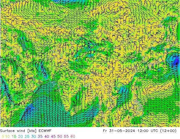 Vento 10 m ECMWF ven 31.05.2024 12 UTC