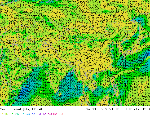 Surface wind ECMWF Sa 08.06.2024 18 UTC