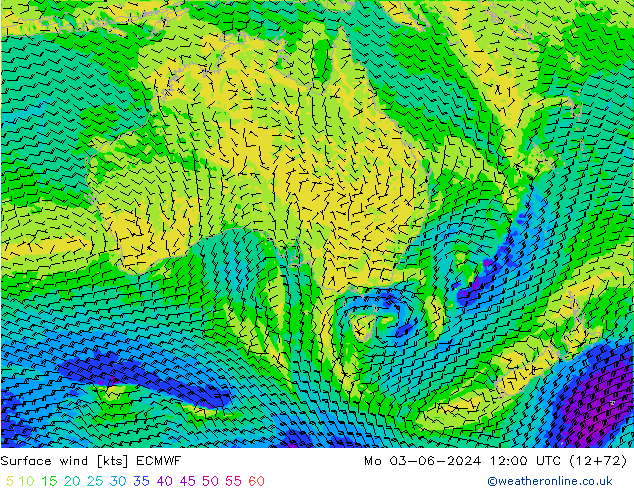 Surface wind ECMWF Mo 03.06.2024 12 UTC