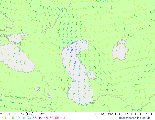 Wind 850 hPa ECMWF Fr 31.05.2024 12 UTC