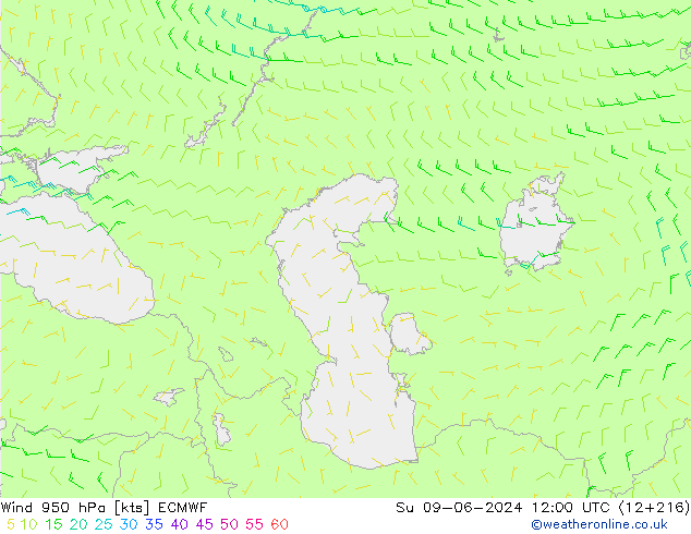 Vent 950 hPa ECMWF dim 09.06.2024 12 UTC