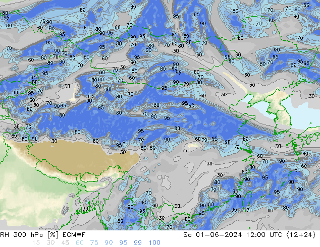 RH 300 hPa ECMWF Sa 01.06.2024 12 UTC