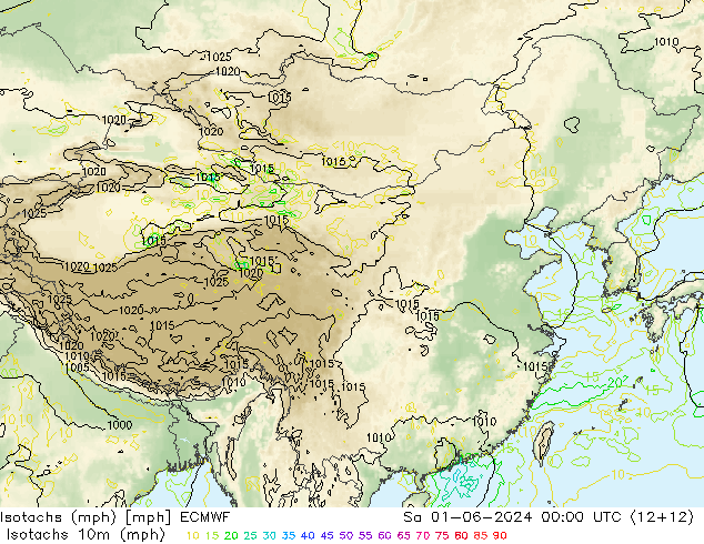 Isotachs (mph) ECMWF 星期六 01.06.2024 00 UTC