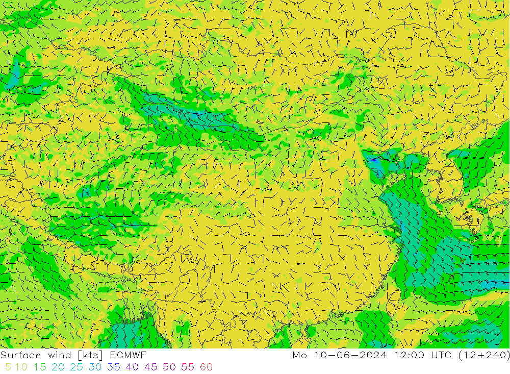 风 10 米 ECMWF 星期一 10.06.2024 12 UTC