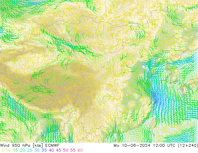 风 950 hPa ECMWF 星期一 10.06.2024 12 UTC