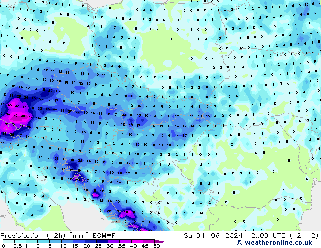 Precipitación (12h) ECMWF sáb 01.06.2024 00 UTC