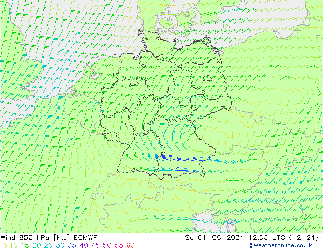 风 850 hPa ECMWF 星期六 01.06.2024 12 UTC