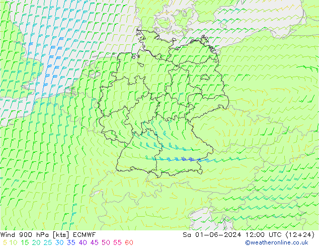 Wind 900 hPa ECMWF Sa 01.06.2024 12 UTC