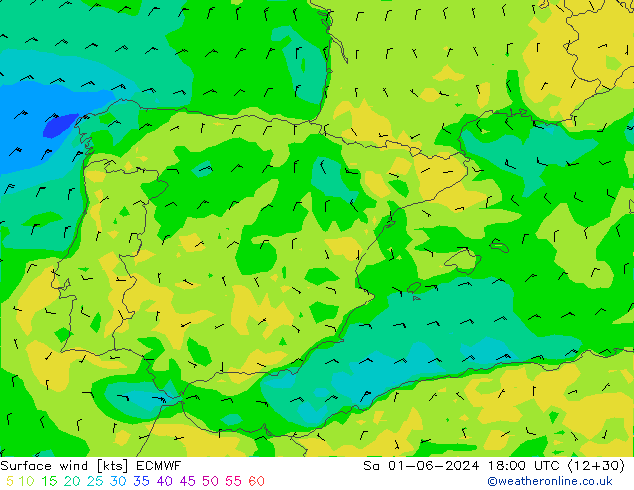 Prec 6h/Wind 10m/950 ECMWF Sa 01.06.2024 18 UTC