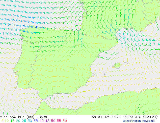 Rüzgar 850 hPa ECMWF Cts 01.06.2024 12 UTC